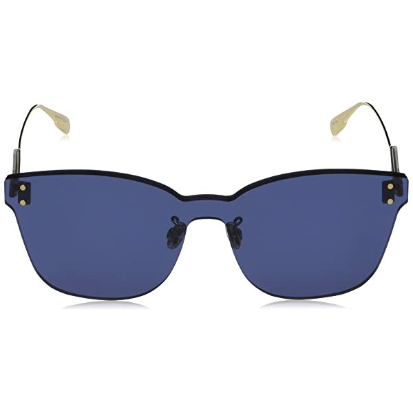 DIOR Blue Shield Ladies Sunglasses