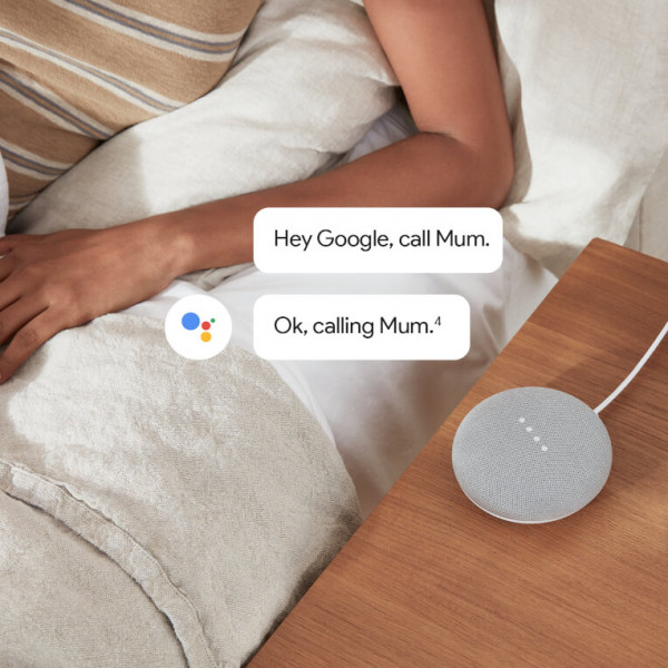 Google - Home Mini (1st Generation)